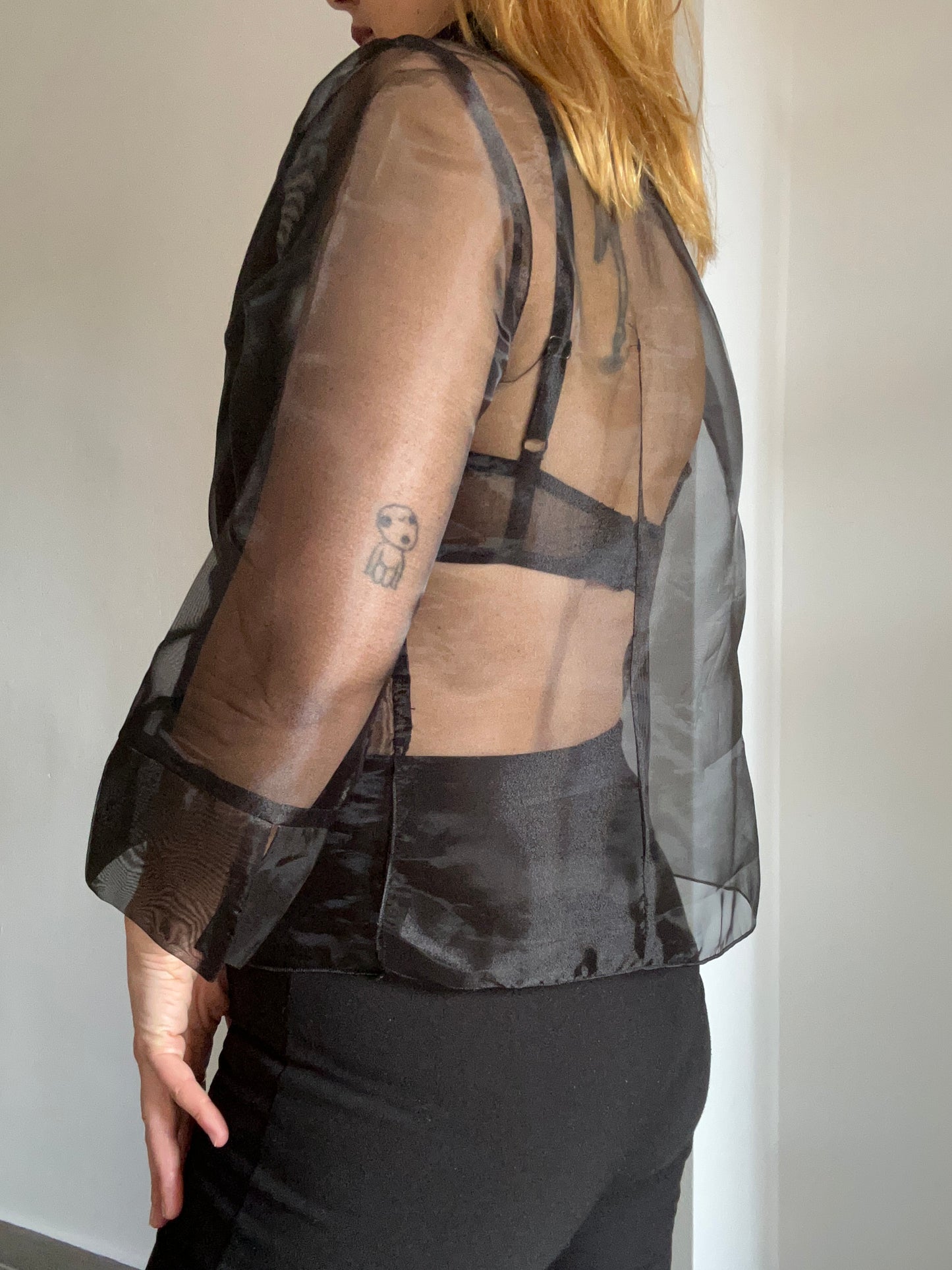 Black Organza Sheer Top
